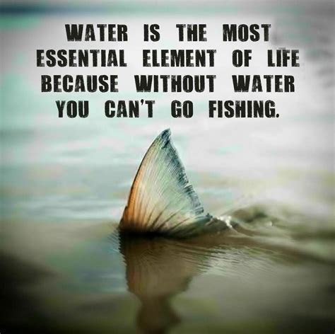 The Most Essential Element | Respect The Fish | Fishing memes, Trout ...