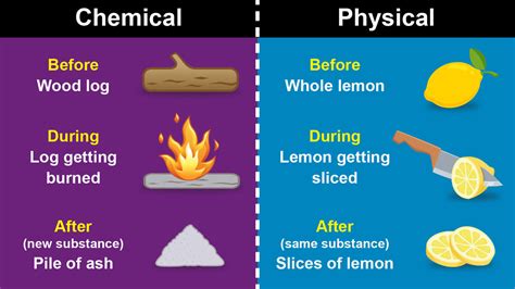 Main Difference Between a Chemical and Physical Change | YourDictionary