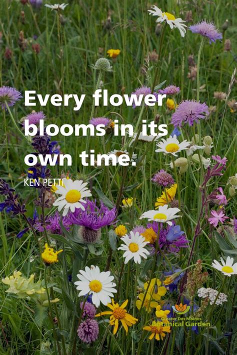 Flower Quote | Flower quotes, Bloom quotes, Bright quotes