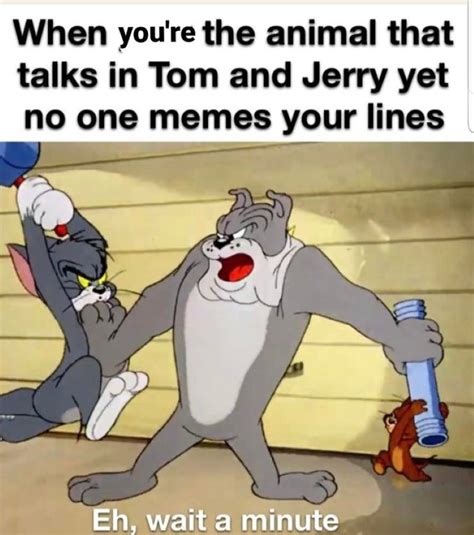 160 Funny Tom And Jerry Memes To Keep You Laughing Fandomspot ...