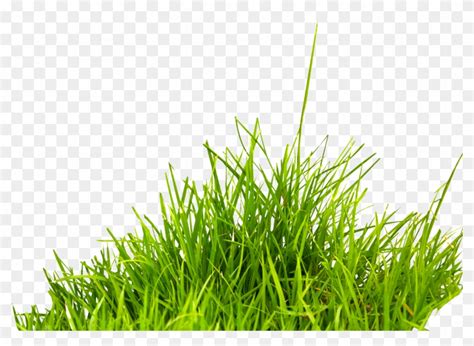 Grass Png Image, Green Grass Png Picture - Ghash Png, Transparent Png ...