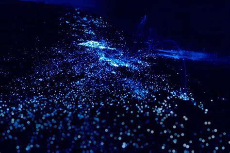 Bioluminescent Mosquito Bay | Puerto Rico | She is Wanderlust Travel