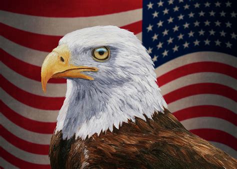 Patriotic Bald Eagle and American Flag Painting by Crista Forest - Fine ...