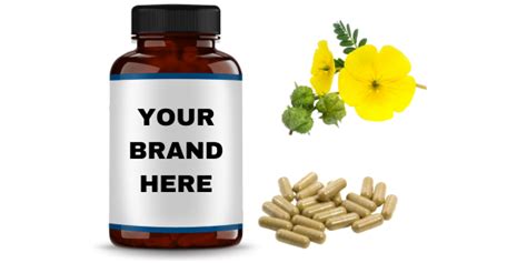 Tribulus Terrestris Extract Capsules Manufacturer & Supplier