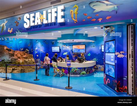 Kasse an das Sea Life Aquarium in der Mall of America in Bloomington ...