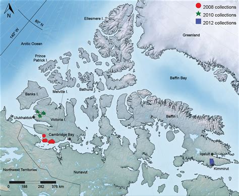 New vascular plant records for the Canadian Arctic Archipelago