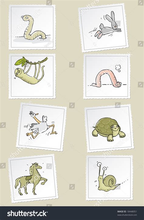 Fast Slow Funny Animals Vector Cartoon Stock Vector 18448051 - Shutterstock