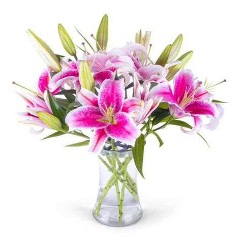 Stargazer Lily Bouquet Flower Delivery Corunna ON - LaPier's Flowers ...