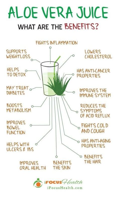 Here's Why You Should Start Drinking Aloe Vera Juice