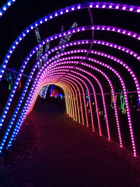 2024 Meadowlark Gardens Winter Walk of Lights Beautiful Holiday Fun