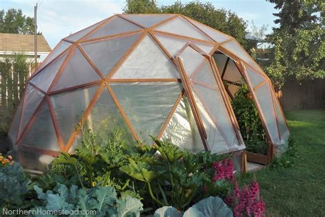 How to Build a Greenhouse in Your Backyard: 5 Tips and 5 Plans