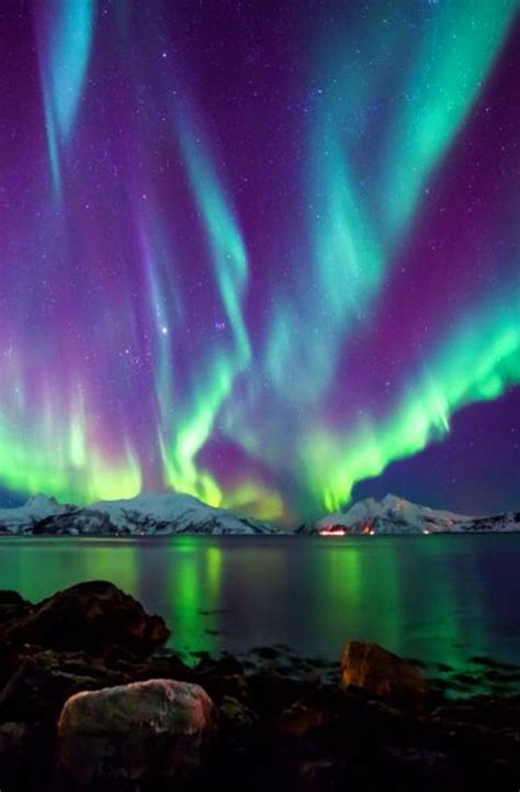 Northern Lights Sweden | See the northern lights, Northern lights, Trip