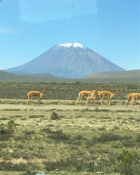 Majestic volcanoes in Arequipa | Arequipa, Landmarks, Natural landmarks