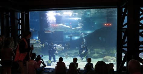 Greater Cleveland Aquarium – Save Your Aquarium