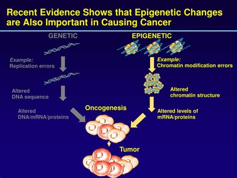 PPT - EPIGENETICA E TUMORI PowerPoint Presentation - ID:4681515