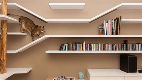 Cat Maze Disguised as Bookshelves | Clutter Magazine