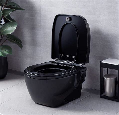 Best Black Bidet Toilet Combo Of 2023 | Ranked & Reviewed