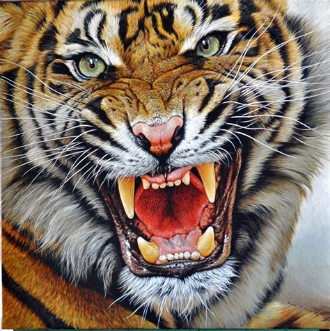 Tiger Roaring Drawing at GetDrawings | Free download