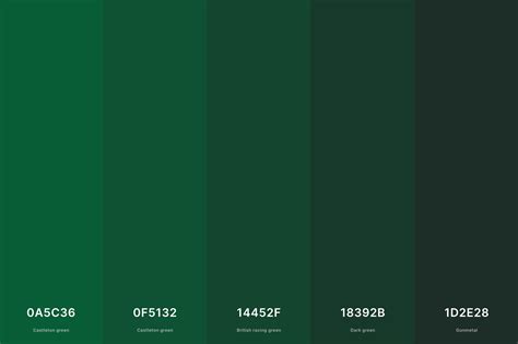 35+ Best Green Color Palettes with Names and Hex Codes – CreativeBooster