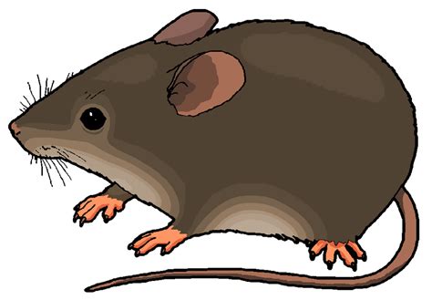 Mouse Clipart by MisterBug on DeviantArt