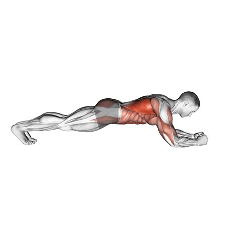 Body Saw Plank: Benefits, Muscles Worked, and More - Inspire US