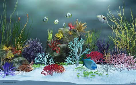 3D Aquarium Wallpaper - WallpaperSafari