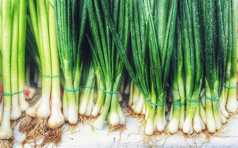 Chives vs Scallions vs Green Onions: What's the Difference?