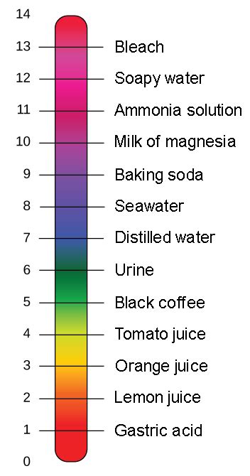 The pH Scale | Biology for Non-Majors I