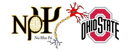 Nu Rho Psi | National Honor Society in Neuroscience – OSU