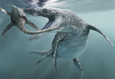 Hunt For Dinos on England's Jurassic Coast | DiscoverMagazine.com | Sea ...