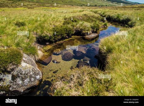 cevennes national park Stock Photo - Alamy