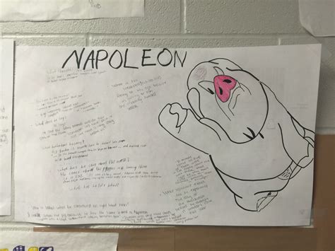 Animal Farm: Napoleon's Character Analysis | Character analysis, School activities, Activities