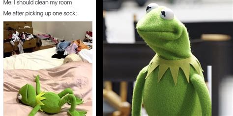 Muppets: 10 Funniest Kermit The Frog Memes