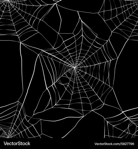 Seamless pattern with spider web Royalty Free Vector Image