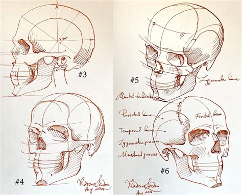 How to Sketch a Skull