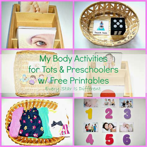 My Body Activities for Tots & Preschoolers w/ Free Printables - Every ...