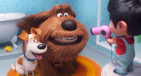 Review: The Secret Life of Pets 2 | The GATE