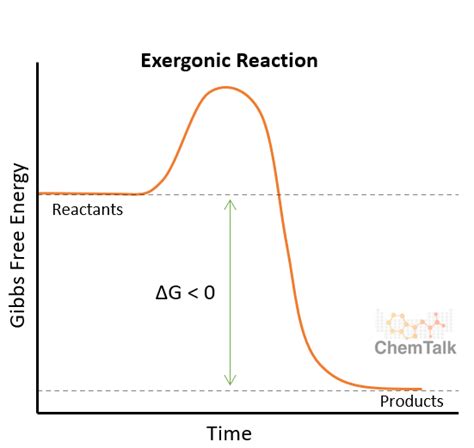 Exergonic and Endergonic Reactions | ChemTalk