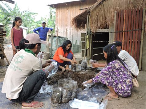 Strengthening Small-scale Farmers – Year 1 | Entrust Foundation