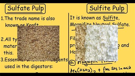 Sulfate Pulp Vs Sulfite Pulp | Comparison of Chemical Pulping process ...