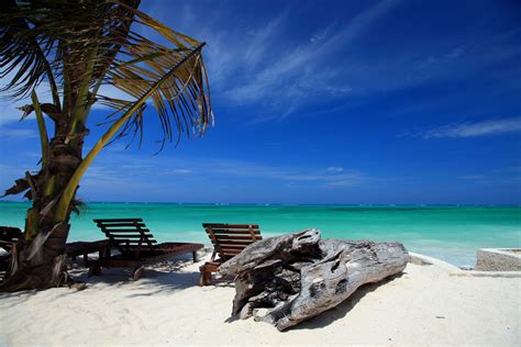 Traumstrand Kiwengwa Beach Sansibar Foto & Bild | africa, eastern ...