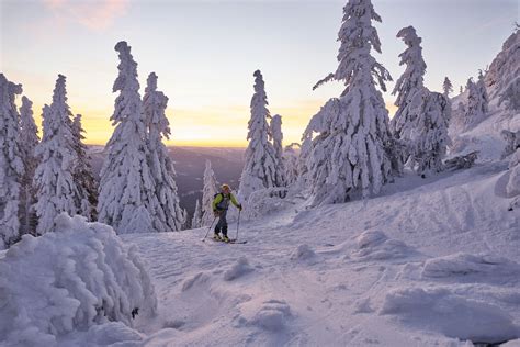 The Bavarian Forest: How to Plan a Trip in Summer or Winter