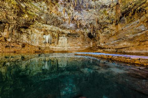 Best Cenotes in Riviera Maya