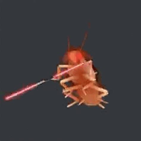 Roach Starwars GIF - Roach Starwars - Discover & Share GIFs