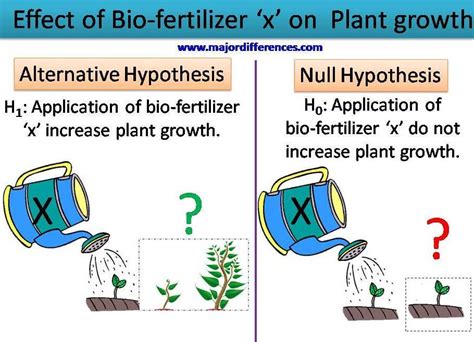 5 Differences between Null and Alternative Hypothesis with example