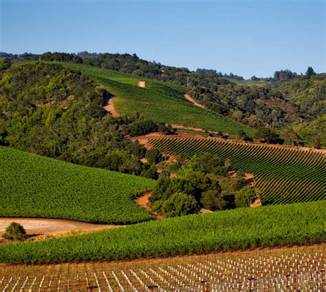 California Wine Country Tour - Womens Travel Club