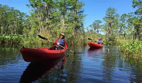 New Orleans Swamp Tours | New Orleans