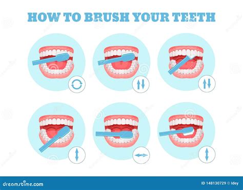 How To Brush Your Teeth. Vector | CartoonDealer.com #78969373