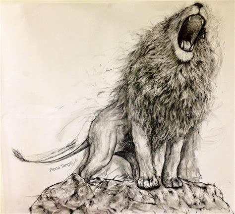 Lion Realistic Drawing at GetDrawings | Free download