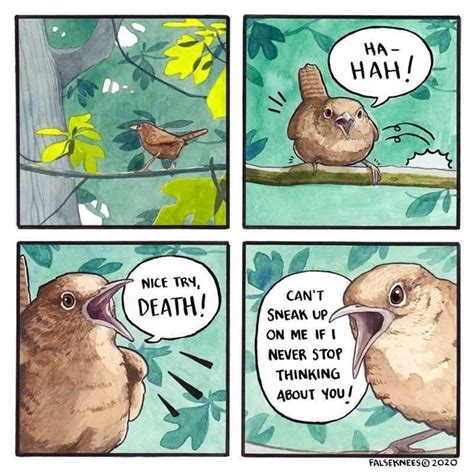 Intense Bird Memes To Ruffle Some Feathers (40 Memes) | Funny animal ...